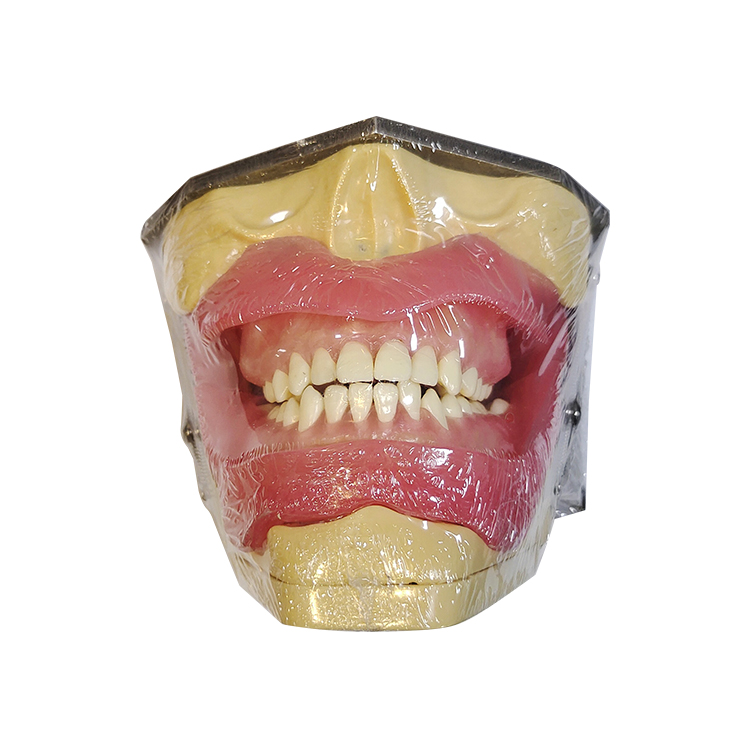 -نموذج لتخدير الفم واستخلاص الأسنان